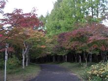 紅葉の名所２
