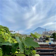 【1,900回目のブログ】 今後も のんびりコツコツと♫