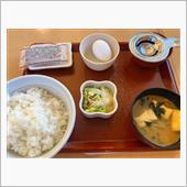夜だけど