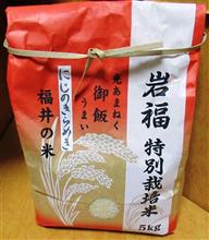 新米