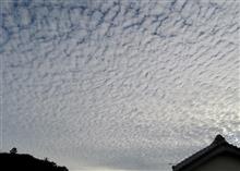 やっぱ！upしとこ😅…全国割　室戸岬編！