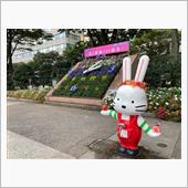 ようこそ花と果物のまち福島へ