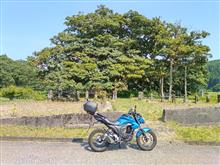 今月で、二輪の免許を取得して３年になりました。