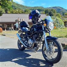 秋っぽくなって来ましたね。
