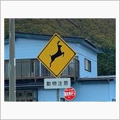 温泉♪