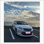 大好きです