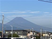 穏やかな日