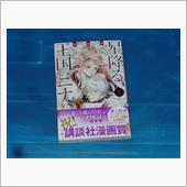 星降る王国のニナ　8巻