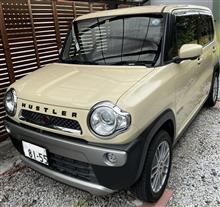 やっと戻ってきた😊