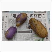 ありがとうございます。