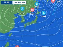 雀が嫌がる 環境づくりなど・・・。