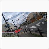 歩道橋、登った！