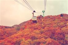 🍁🚠紅葉の秋 No.4『東北放浪記 1日目 蔵王編』🚠🍁 🍁🚠紅葉の秋 No.4『東北放浪記 1日目 蔵王編』🚠🍁