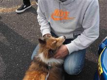 愛犬、WRカーに吠える！！・・・