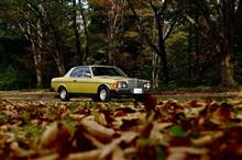 わずかの紅葉と愛車写真