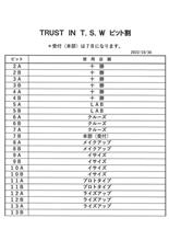 ＴＲＵＳＴ走行会 ピット割り！