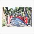 ２０１９  🔖岡崎龍城神社   ......『開運巡り』......『４４』