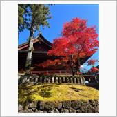 天気いいけどちと肌寒いかも