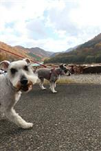 予定が狂ってダムカードの旅