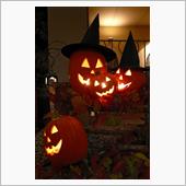 Trick or treat ...