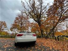 紅葉を求めて🍁裏磐梯へ