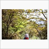 そろそろ紅葉の季節