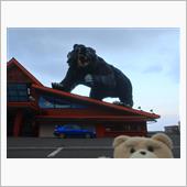 北海道のサケはクルマよりでか ...