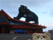 北海道のサケはクルマよりでかい!