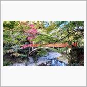 プレ紅葉ライド