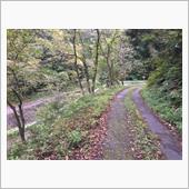楢峠。あとから調べてみたが行 ...