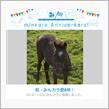 祝・みんカラ歴8年！