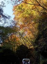 昨年のリベンジ　林道 三ッ丸大平線 で紅葉狩り