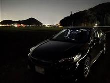 レオパ生活3年