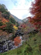山から下りて又山に！