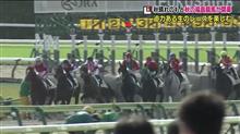 秋の福島競馬開幕|ω･`) とりあえず、これもそれもウマ娘のおかげであるのは言うまでも有りません