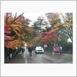 紅葉の角館２