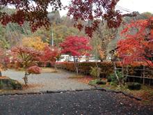 武家屋敷の紅葉