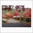 武家屋敷の紅葉