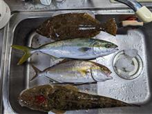 本日の釣果