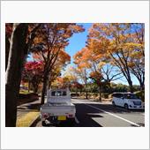 【お墓参り】に・・・。