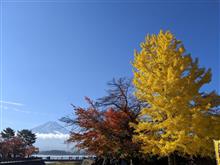 紅葉の河口湖～山中湖