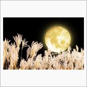 秋の夜長 に まとめてパーツ ...