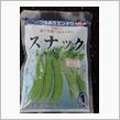 家庭菜園　スナックエンドウの種を蒔いた！