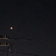 天体観測