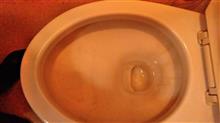 トイレの底の