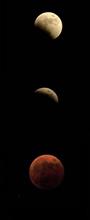 Luna Rosa (赤い月）