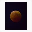 11/8 皆既月食、天王星色は見逃しましたが