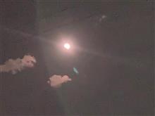 うまく撮れないね うまく撮れないね