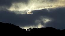 夕べの主役、お疲れさん💮