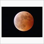 442年ぶりの天体ショー【皆 ...